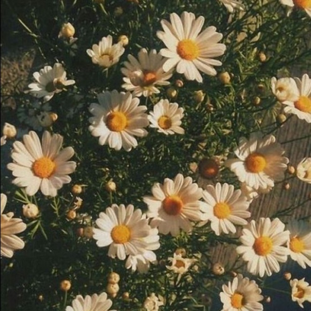 Spring is here!!